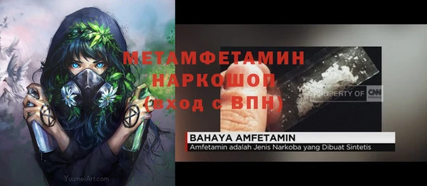 индика Аркадак
