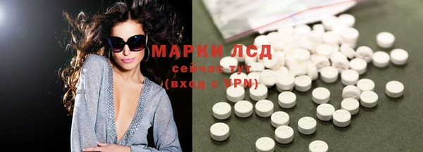 индика Аркадак