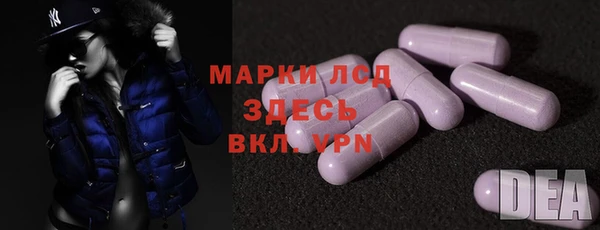 индика Аркадак